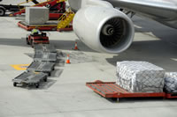 Airfreight Pallets