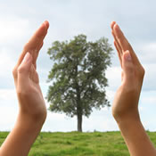 Environmental Stewardship