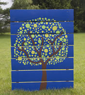 Environmental Stewardship
